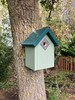 Bird box made in the UK