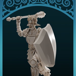 Firbolg Cleric-Annote