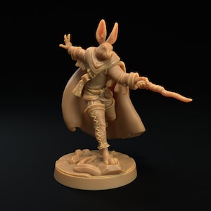 Rabbitfolk Wizard