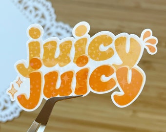 juicy juicy | Seventeen | SVT | Die Cut Sticker | Holographic Overlay | K-Pop Stickers | Hot