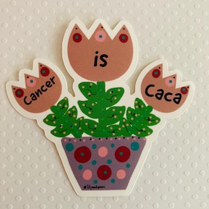 Cancer Sticker - cancer survivor - cancer gift - breast cancer - cancer art - survivor