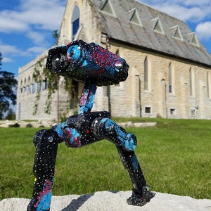 Könnte beinhalten: Ein schwarzer, blauer und roter Spielzeugroboter mit einem galaktischen Anstrich. Der Roboter hat einen großen Kopf mit einer Kamera-Linse und zwei Beine. Der Roboter steht auf einem Stein vor einem Steinbau.