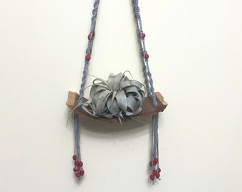 Air Plant Holder, Hackberry tree bark and Macrame Hanger