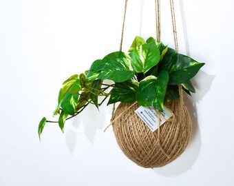 Devils Ivy Etsy - kokedama artificial devils ivy hanging medium 2