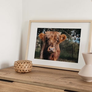 Farmhouse Lifestyle Print, highland cow, digital print 16x12, printable wall art