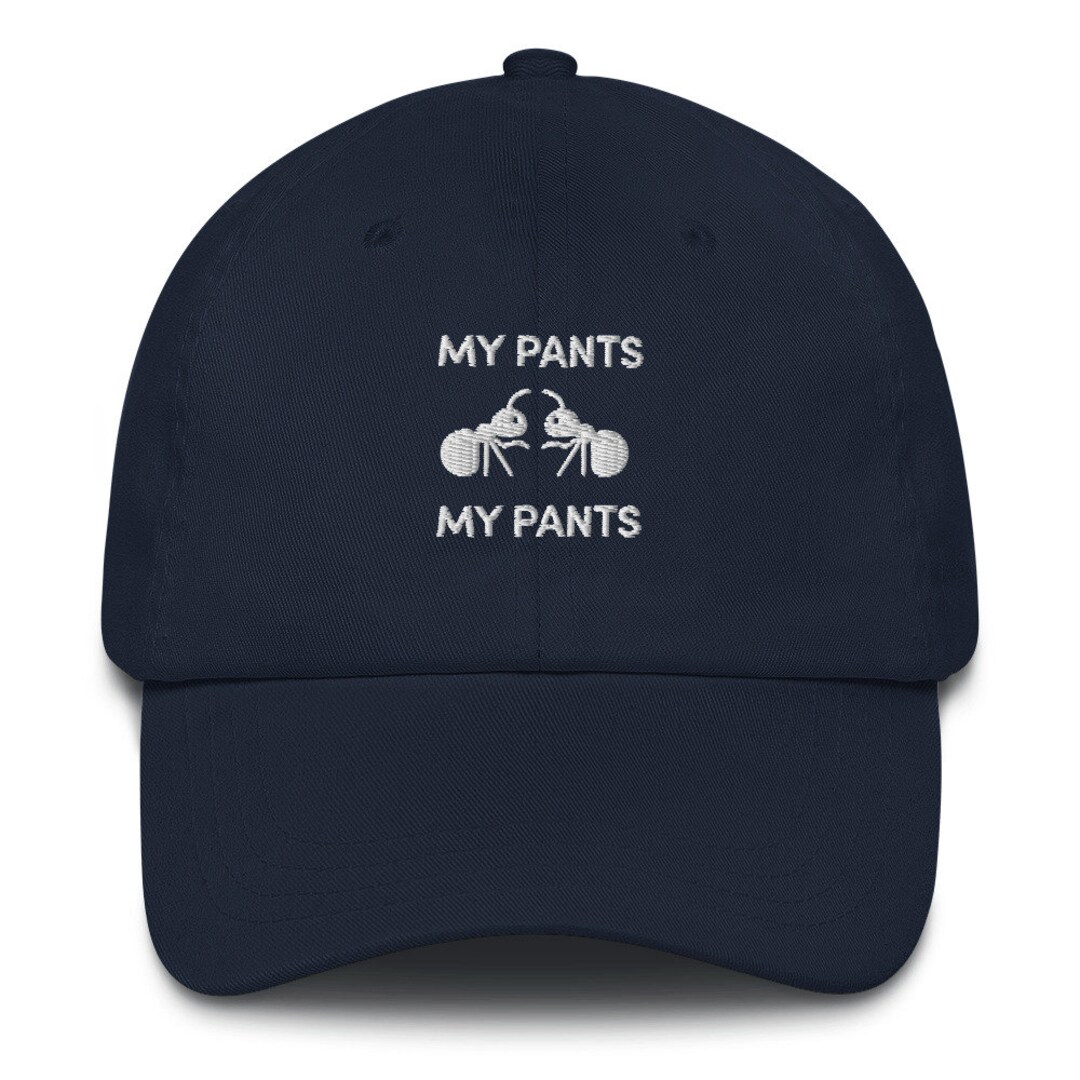 Ants in My Pants Rebus Puzzle Embroidered Dad Hat Riddle Hat Silly Cap Gift Etsy