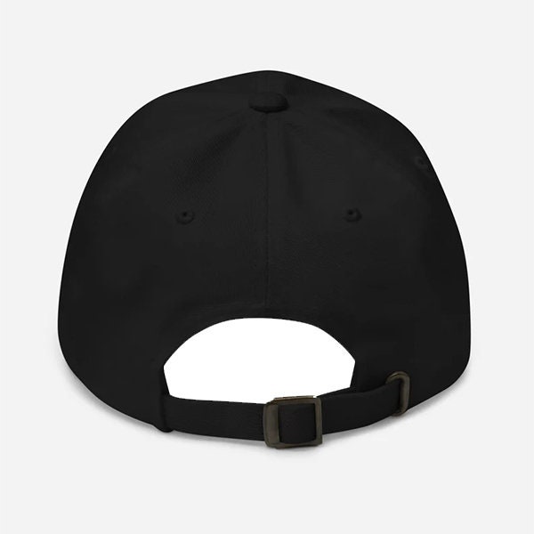 99942 Apophis Asteroid Embroidered Dad Hat | Astronomy Hat - Etsy