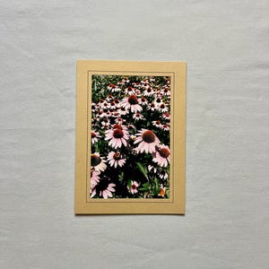 Frühlings Gänseblümchen - Blumen, Garten Fotografie, leere Grußkarte für jeden Anlass