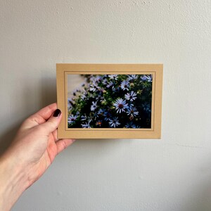 Lila Wildblumen - Florale Fotografie, leere Grußkarte, einzigartiges Geschenk für jeden Anlass