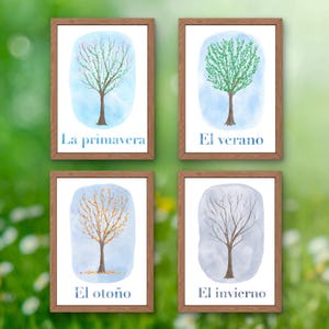 May include: Four framed watercolor prints depicting trees in different seasons. Each print features a tree against a light blue background, with text in Spanish: "La primavera," "El verano," "El otoño," and "El invierno."
