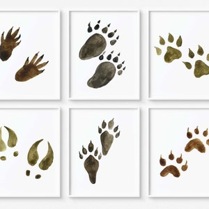 Animal tracks wall art, Animal tracks print, Woodland nursery decor, Forest animals footprints, Wilderness nursery - DIGITAL DOWNLOAD - FoF