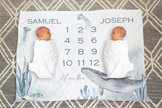 Milestone blanket for twins 2025