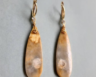 Natural Fossil Coral Earrings/Indonesian Fossil Coral Earrings/Crystal Earrings/Healing Earrings/Natural Stone Earrings