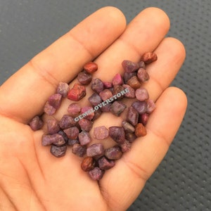 May include: A collection of small, rough, red and pink ruby gemstones. The gemstones are in a hand, and the text "GEMSLOVERSTORE" is visible in the image.