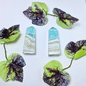 May include: Two rectangular, polished blue aragonite crystal towers with tan and white banding. The crystals are displayed on a white surface, accented by green and purple artificial leaves.