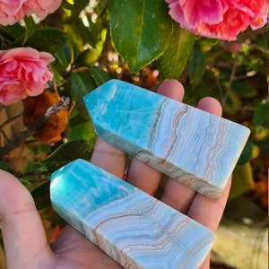 May include: Two rectangular, polished blue aragonite crystal towers with light brown veining are held in a hand. The crystals are set against a backdrop of pink flowers and green leaves.