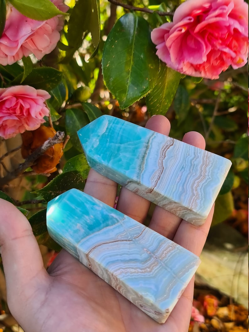 May include: Two rectangular, polished blue aragonite crystal towers with light brown veining are held in a hand. The crystals are set against a backdrop of pink flowers and green leaves.