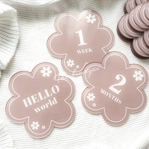 Lot de 14 disques acryliques pour jalons - cartes jalons en acrylique bébé marguerite - cadeau de baby shower pour nouveau-né - accessoire photo bébé - cartes jalons mensuels