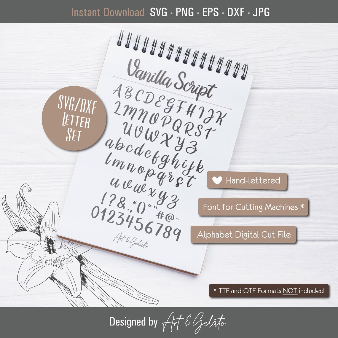 Vanilla Script SVG Letter Set Hand Lettered Alphabet SVG Font Etsy