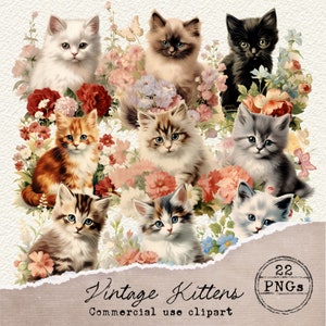 Vintage Kitten Clipart, Victorian Ephemera, Vintage Illustration Clipart, Watercolor Cat, Kitten PNG, Kitties Clipart, Cat PNG Bundle, 001
