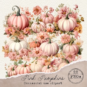 May include: A collection of 22 digital clipart images featuring pink and white pumpkins with floral accents. The pumpkins are surrounded by pink and white flowers, leaves, and stems. The text "Pink Pumpkins Commercial use clipart" is at the bottom of the image.