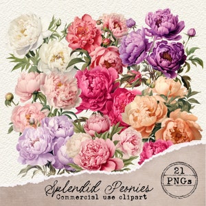 Pfingstrose Blumen PNG, Aquarell Pfingstrosen Clipart, Vintage Ephemera, Vintage Blumenaufkleber, fussy Schnitt, Pfingstrosen PNG, 008