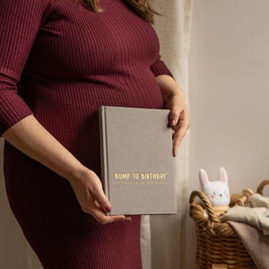 May include: A gray journal titled "Bump to Birthday" held by a person wearing a burgundy dress. The journal has gold lettering and is a pregnancy keepsake. A stuffed bunny and a wicker basket are in the background.