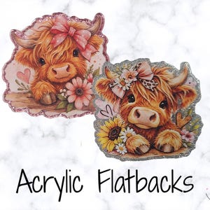 Può includere: Due flatback in acrilico raffiguranti adorabili mucche delle Highlands con dettagli floreali e fiocchi. Una mucca ha un fiocco rosa e fiori, l'altra una corona floreale e un girasole. Il testo "Acrylic Flatbacks" è visibile.