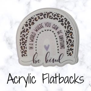 Op de afbeelding: Acryl flatback met een regenboogontwerp. De regenboog heeft een luipaardprintpatroon aan de bovenkant en de woorden "In a world where you can be anything, be kind" staan erop geschreven. Een paars hart staat in het midden.
