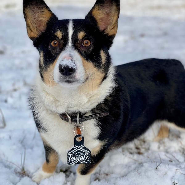 Custom Dog Tags Etsy