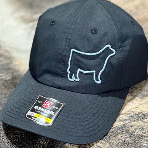 3D Puff Show Steer Hat – Richardson 220 Ranch Cap
