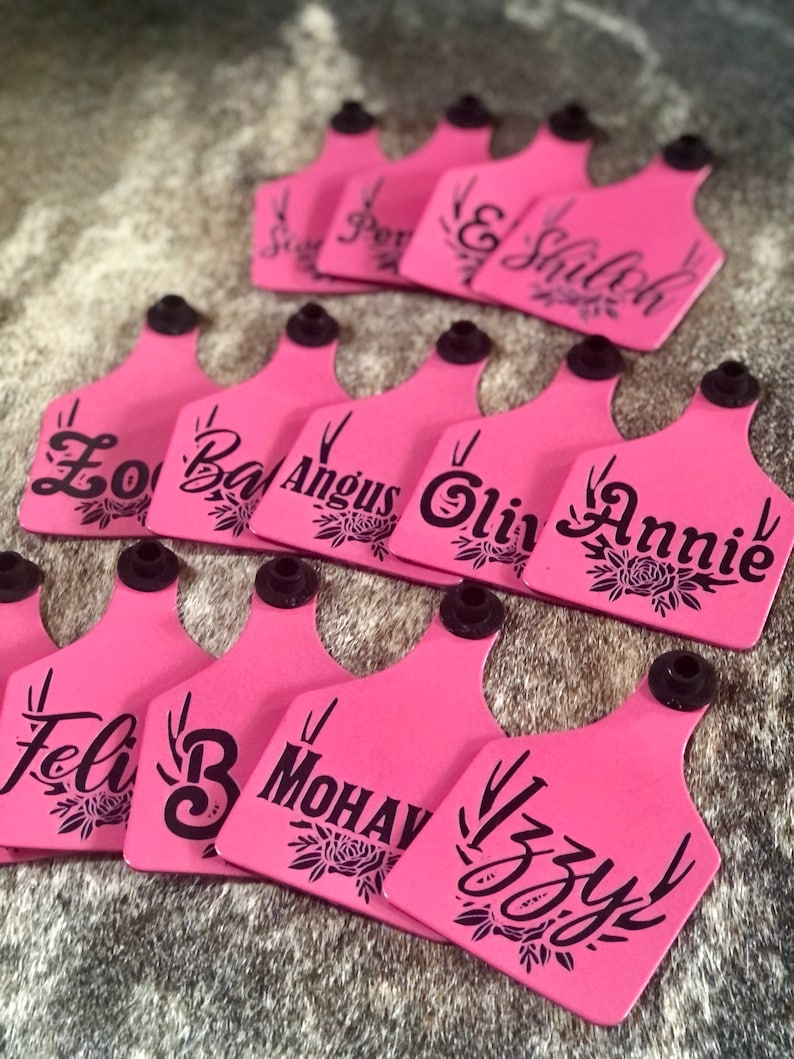 Pink engraved livestock ear tags with black lettering. The tags feature various names.