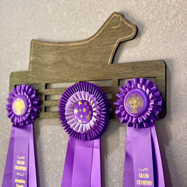Custom Engraved Livestock Show Ribbon Holder: Farm Award Display - Etsy