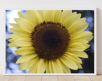 Yellow Sunflower Photo Print, Yellow Floral Picture, Living Room Decor, Flower Gift for Her, Autumn Wall Art, Sunflower Photo Wall Decor