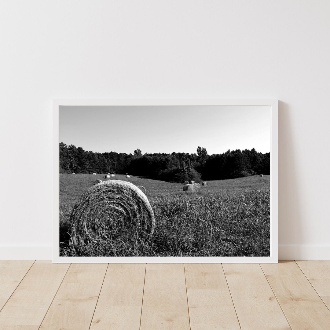 Black and White Hay Bale Photo Print, Scenic Farm Landscape Photography ...