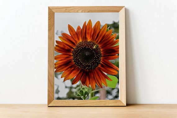 Flower Print Farmhouse Decor Nature Photography