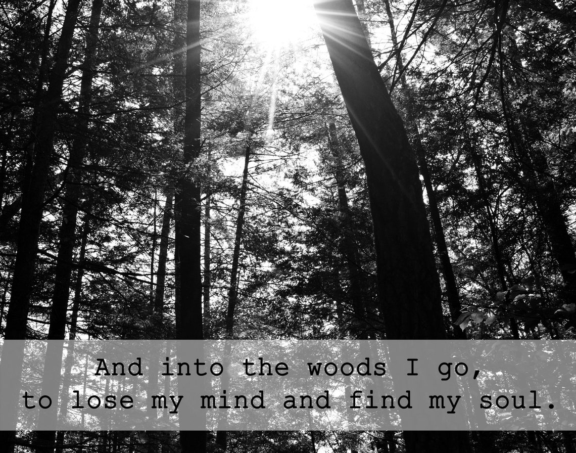 And Into the Woods I Go to Lose My Mind and Find My Soul, Black and ...