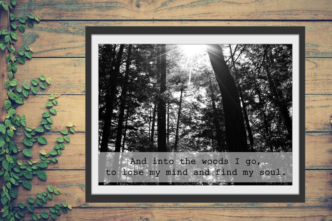 And Into the Woods I Go to Lose My Mind and Find My Soul, Black and ...