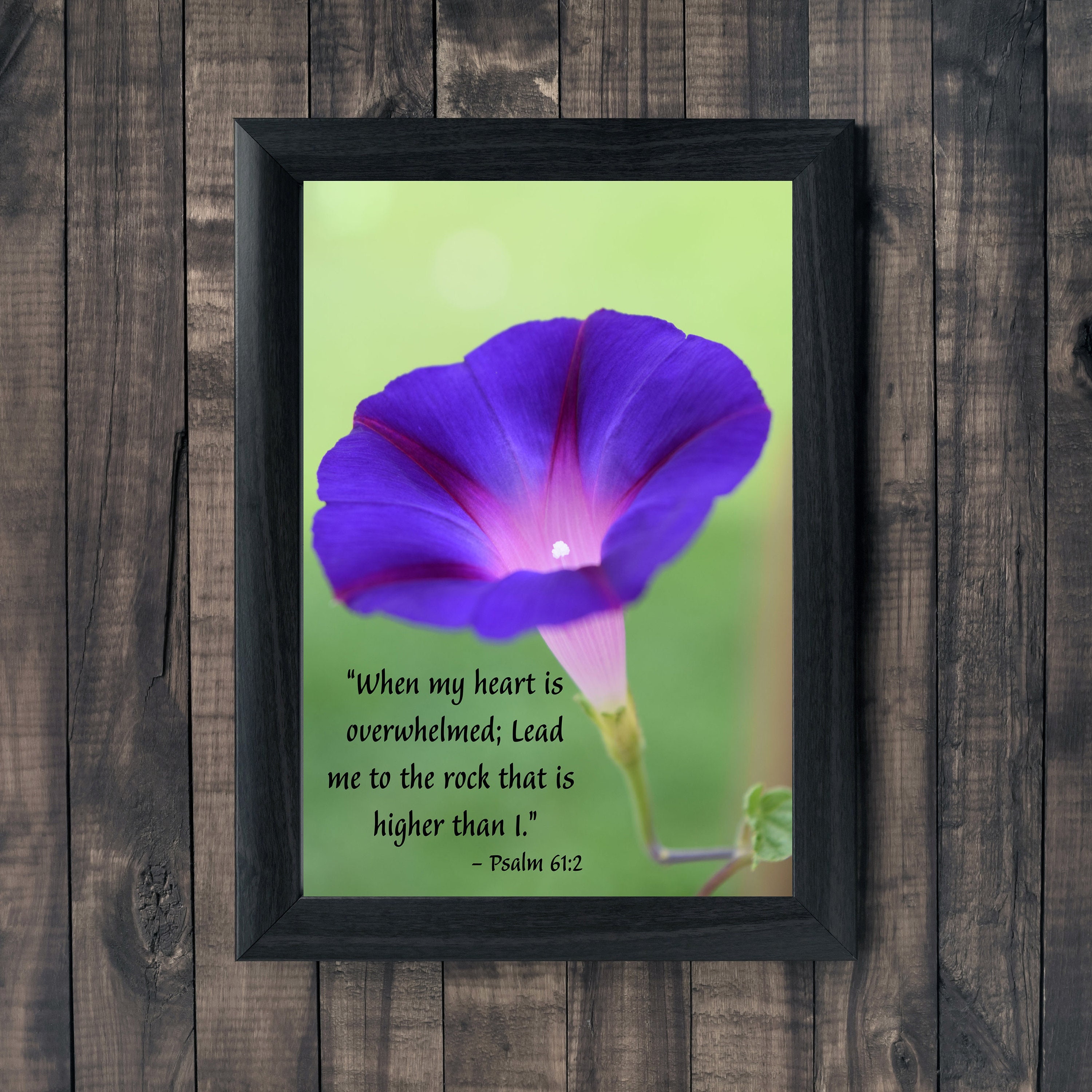 Bible Verse Flower Photo Print, Psalm 612, When My Heart is
