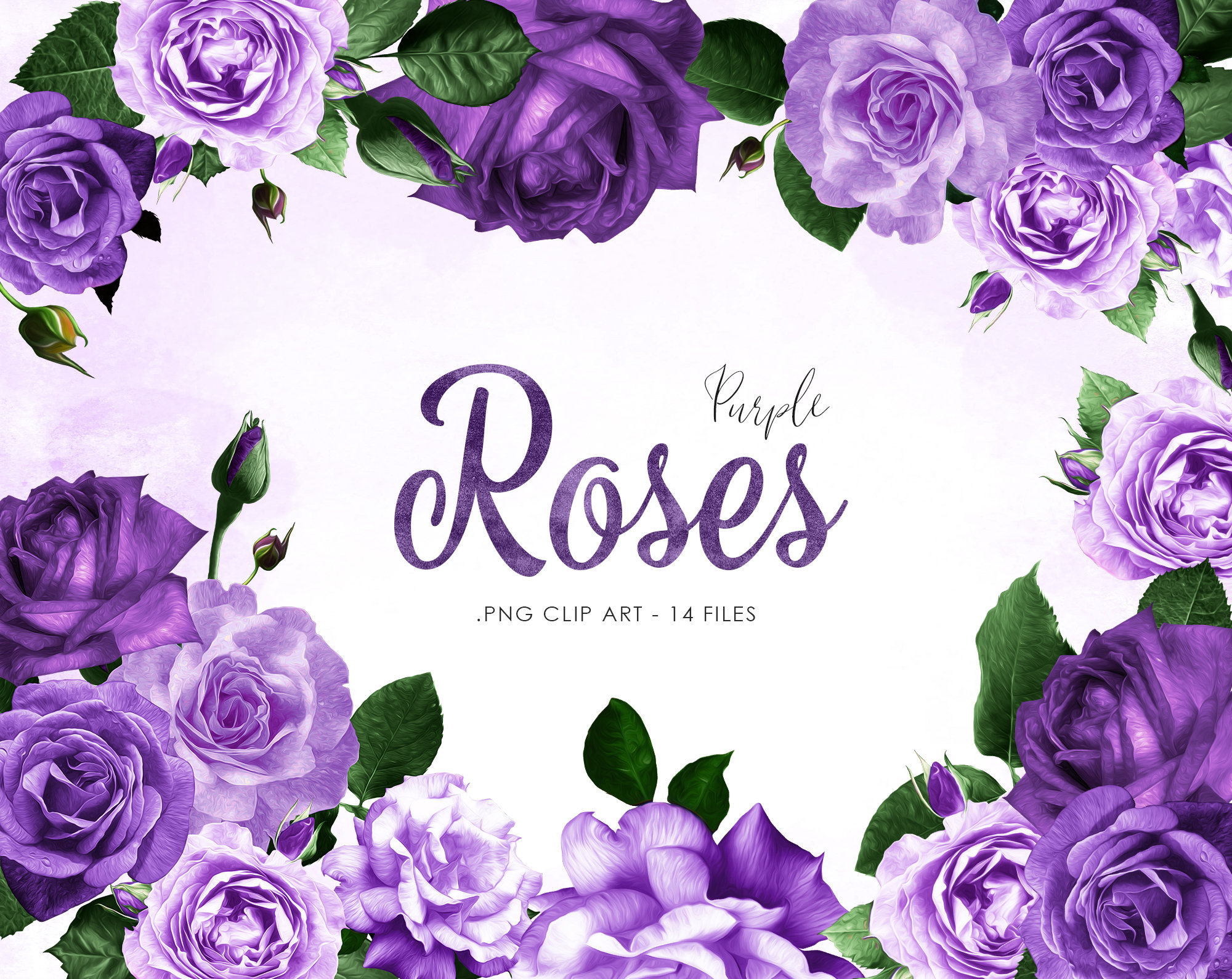 Purple Rose Border Clip Art My Xxx Hot Girl