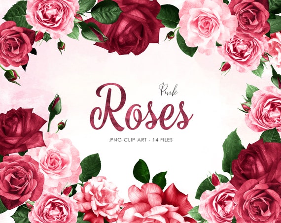 Pink Roses Clip Art Floral Clipart Pink Roses Bouquets Etsy Pink Roses Clip Art Floral Clipart Pink Roses Bouquets Etsy