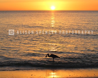 Heron at Sunset, Landscape Photograph, Ocean Sunset