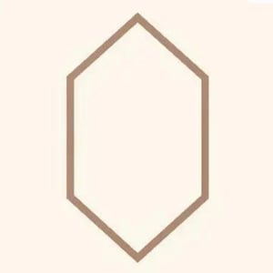 Op de afbeelding: Een geometrisch ontwerp met een bruine omtrek van een zeshoekige vorm. De zeshoek is gecentreerd op een crèmekleurige achtergrond. De lijnen van de zeshoek zijn dun en creëren een eenvoudige, moderne esthetiek.
