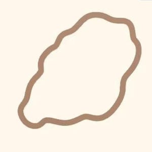 May include: A simple, abstract illustration featuring a light brown outline of an organic shape against a cream-colored background. The outline has a wavy, irregular form, creating a soft, undefined border.