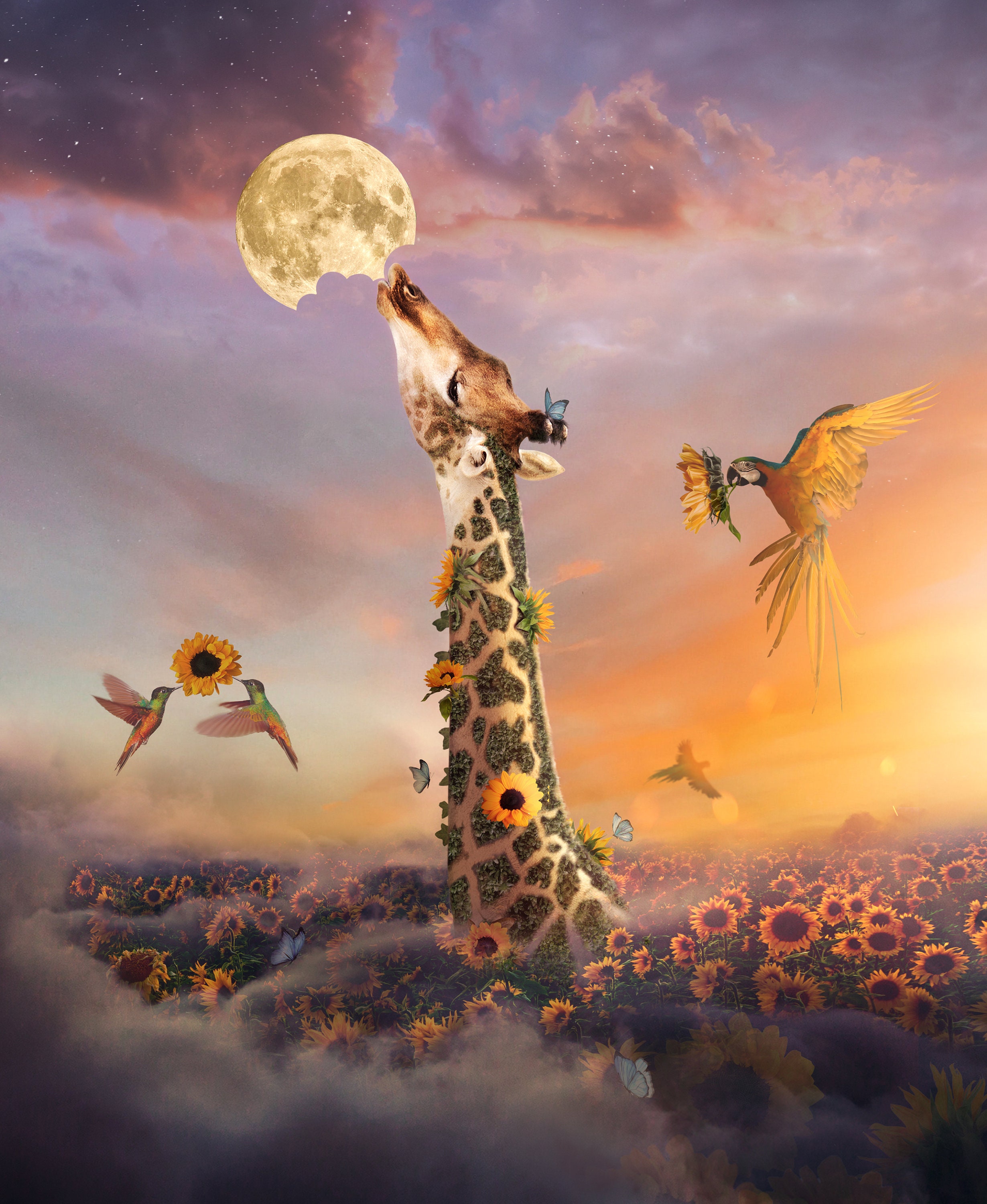 Celebration Art Print Photography Magic Wall Art Décor Cadeau d'anniversaire Idée Surréalisme Planèt