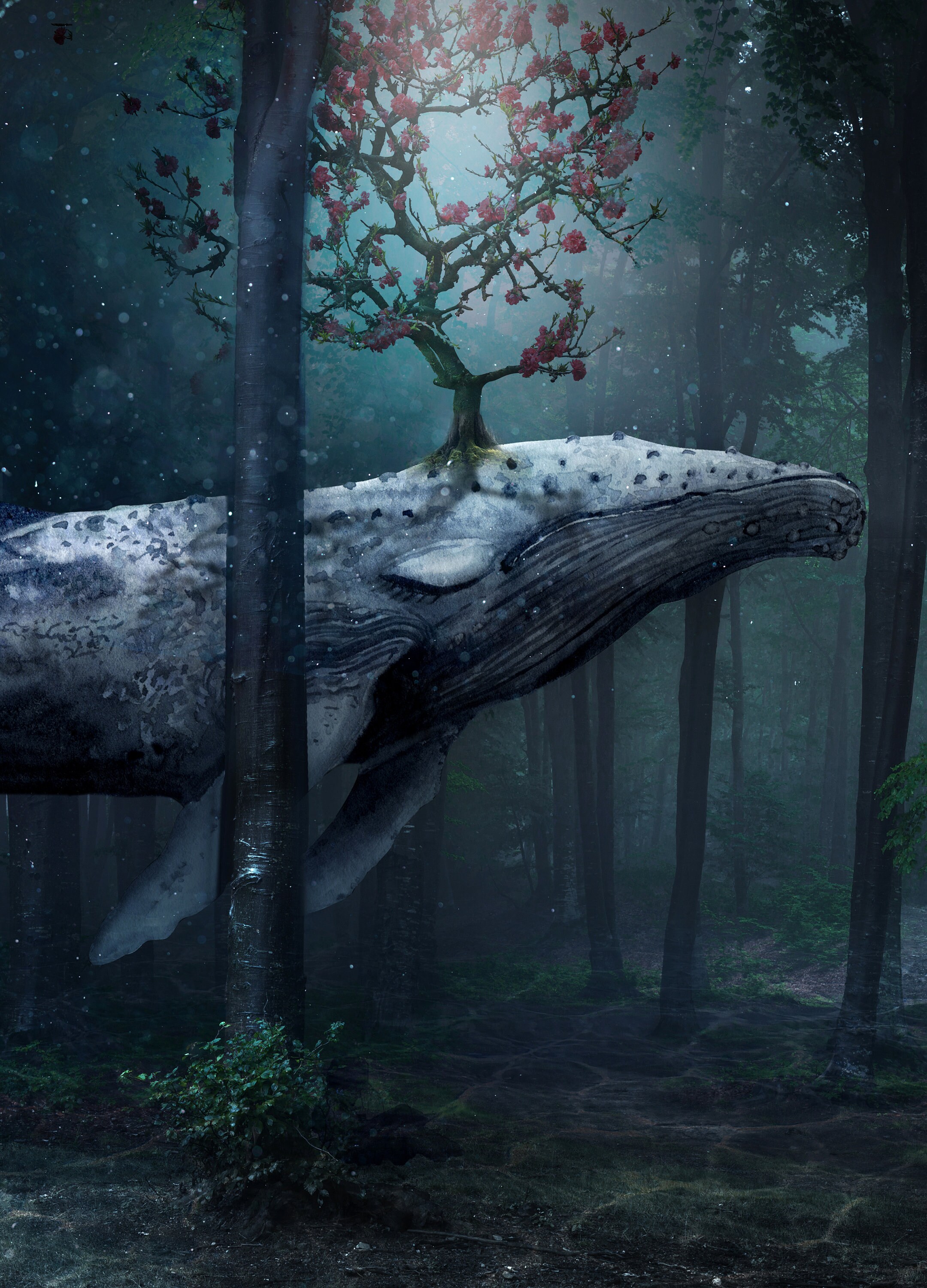 Art Print Photography Animal Art Magic Wall Décor Cadeau d'anniversaire Idée de Cadeau Surréalisme A