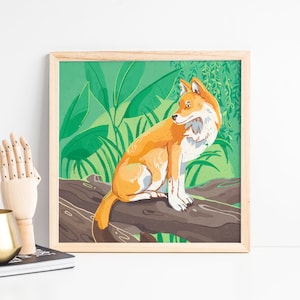 Dhole Art Print - Espèces menacées - Illustration animale - Jungle - Faune - Impression sur le changement climatique - Animaux mignons - Jour de la Terre - Fête des Pères