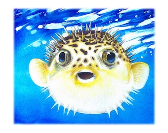 Free Hugs - Blowfish