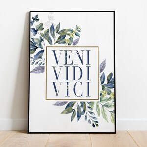 Latin quote Veni, vidi, vici on stone background, 3d illustration -  meaning I came, I saw, I conquered Stock Illustration