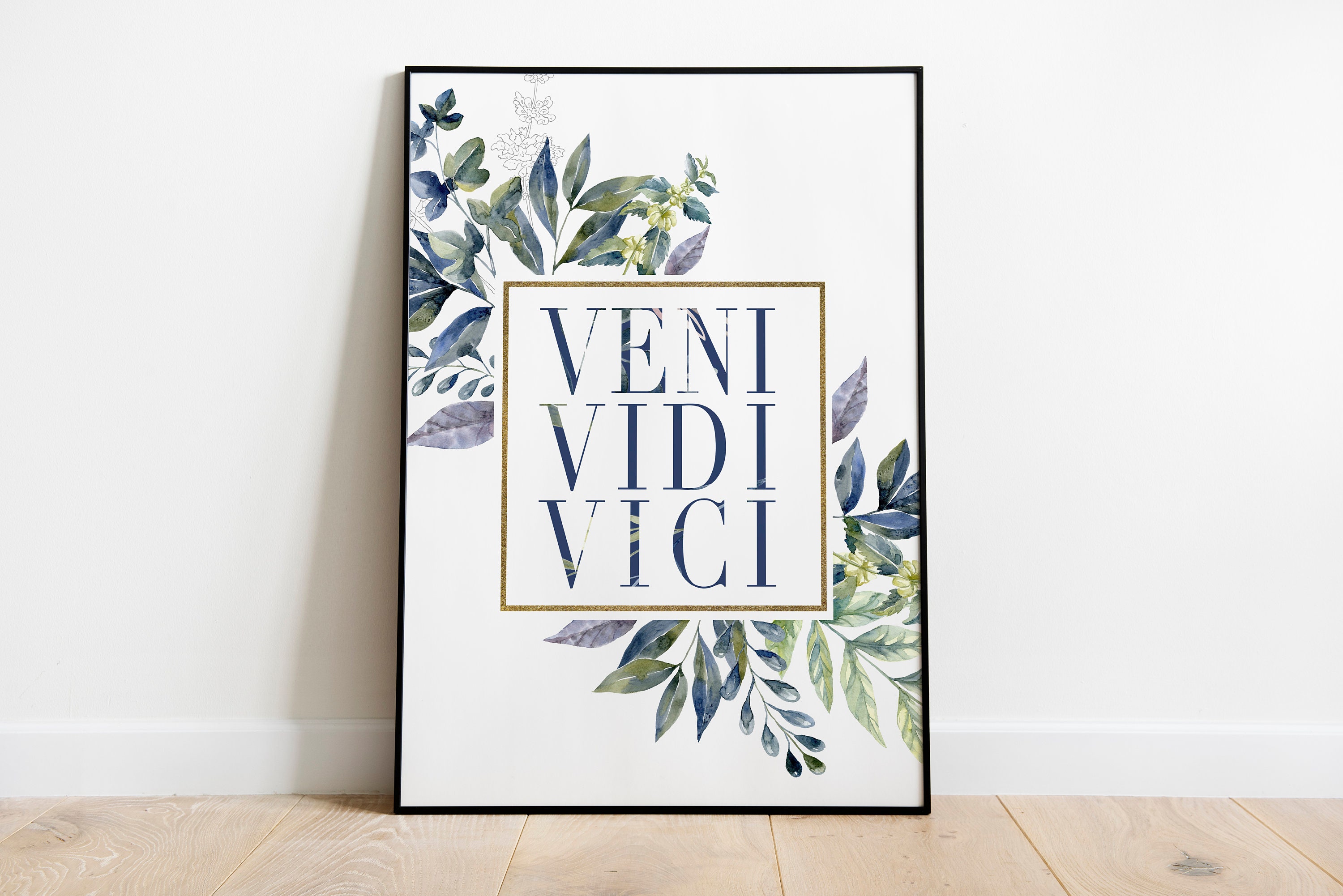 Veni vidi vici latin quote poster translation i Vector Image